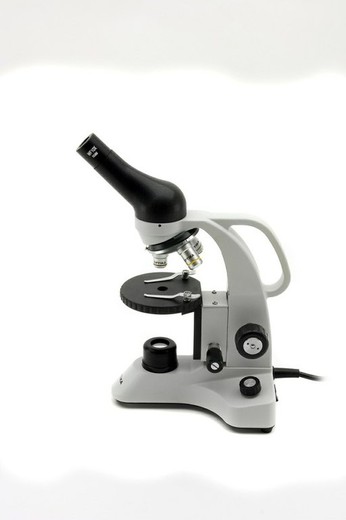 Microscopio Optika B Raig