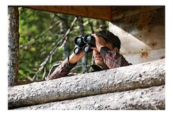The weight of the binoculars, a key factor.