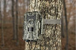 Photo-trapping cameras