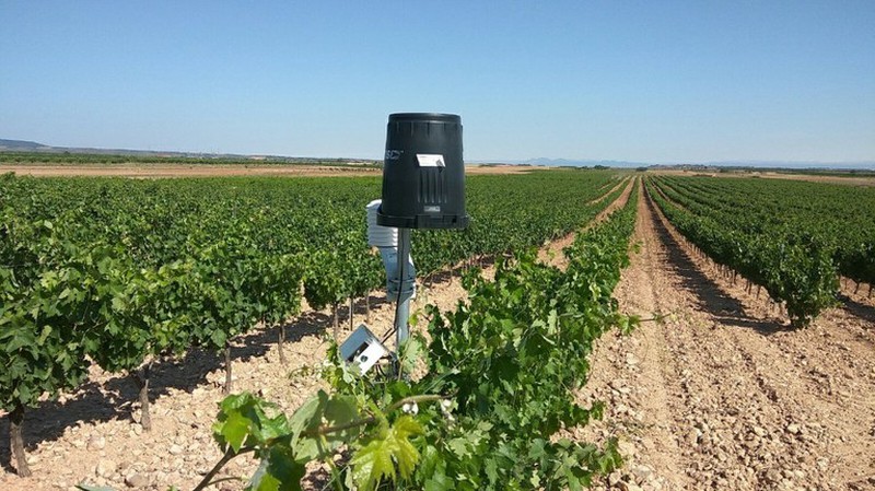 Meteorologie en landbouw