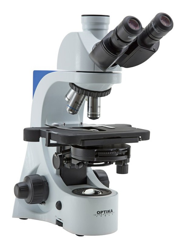 Nociones básicas sobre el Microscopio óptico