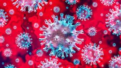 Raig in the face of the Covid-19 Coronavirus crisis