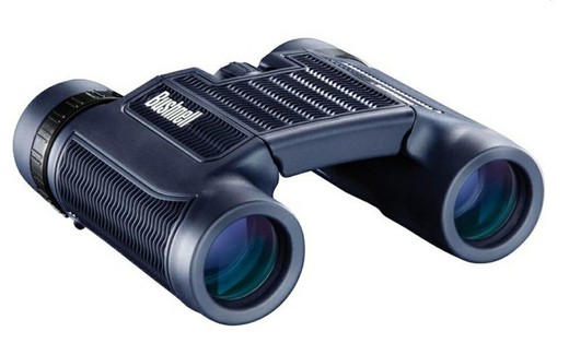 Bushnell H2O οροφής 8 / 10x25 κιάλια