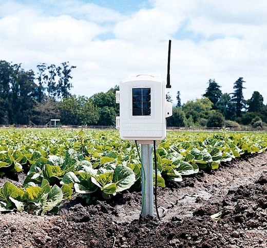 Estación meteorológica inalámbrica completa para agricultura Davis