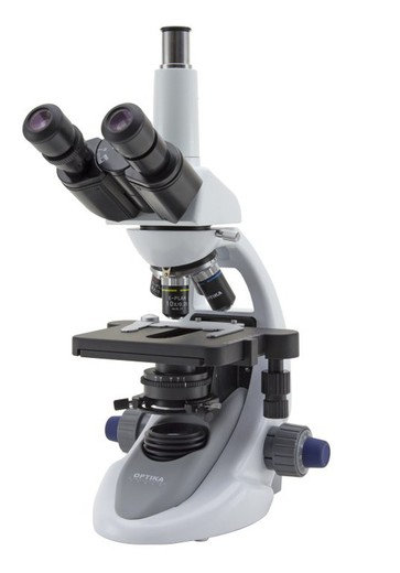 Microscopio Optika B-293, 1000X, Trinocular — Raig