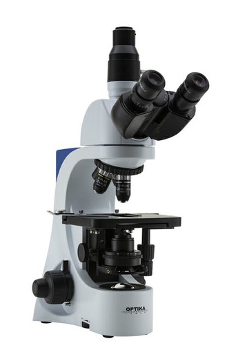 Optika B-383 Microscope, 1000X, Trinocular — Raig