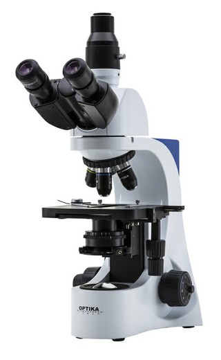 Optika B-383 Microscope, 1000X, Trinocular — Raig