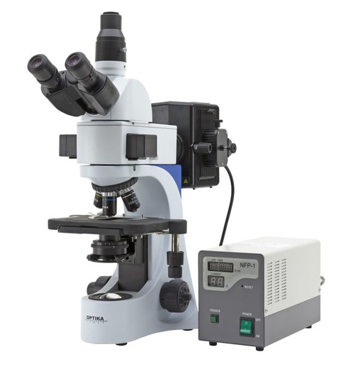 Optika B-383 Microscope, 1000X, Trinocular — Raig