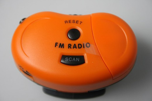 PEDOMETER MIT RADIO UND KOPFHÖRERN PE 316 FM — Raig