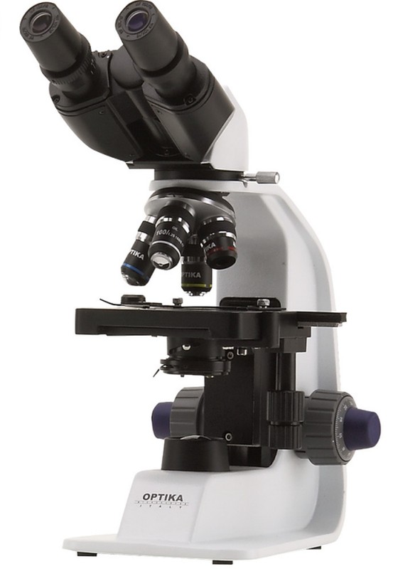 Microscopio Optika B-157 600x, Binocular — Raig