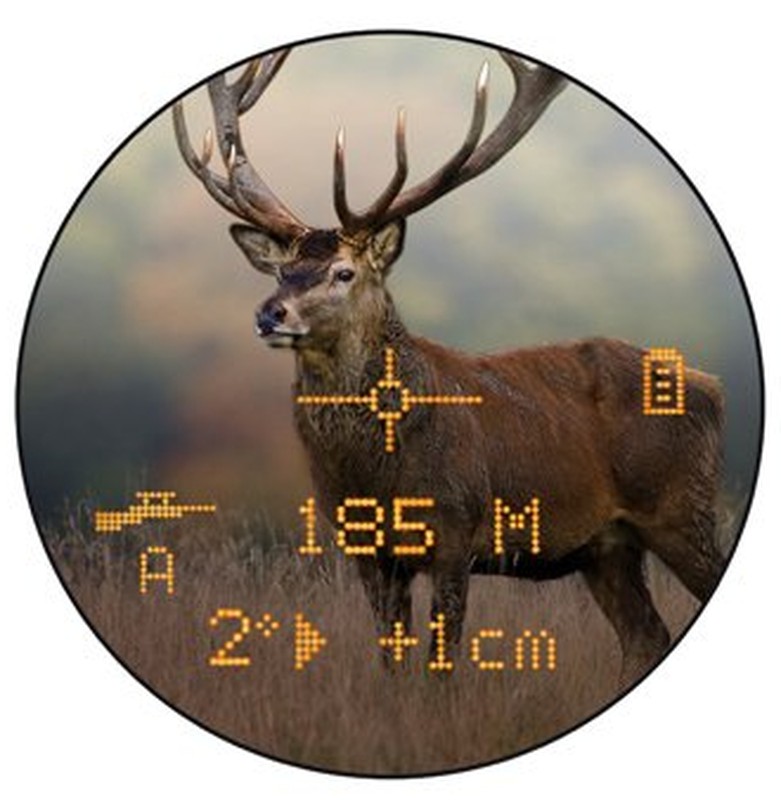 Bushnell Fernglas mit Laser-Entfernungsmesser Fusion 1 Mile Arc 12x50 202312 