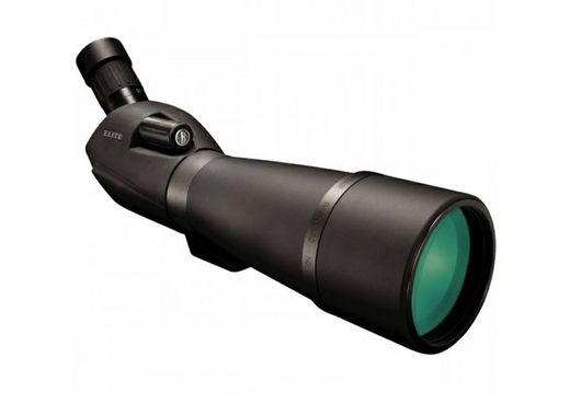 Bushnell Elite 20-60x80 45º telescopio terrestre