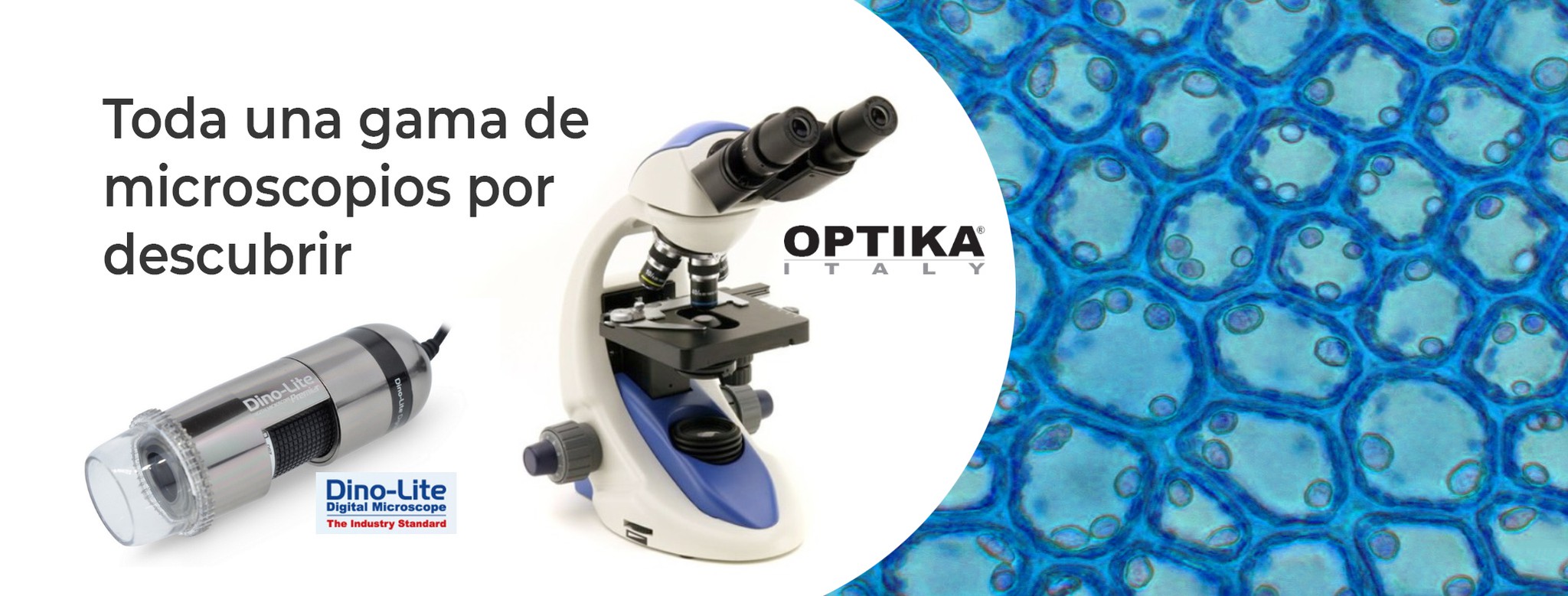 Microscope Professionnel OPTIKA B-192